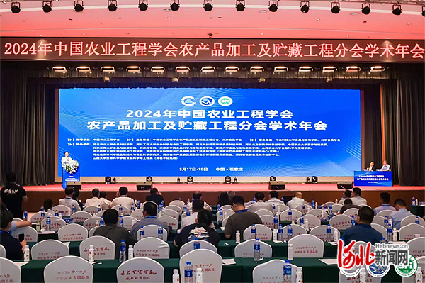 河北新闻网.jpg